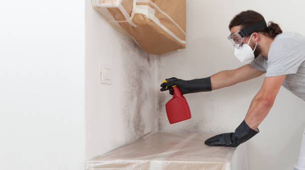 Professional Bathroom Mold Removal technician working in New Vernon, NJ