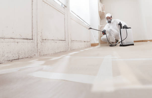24/7 Emergency Bathroom Mold Removal experts in New Vernon, NJ